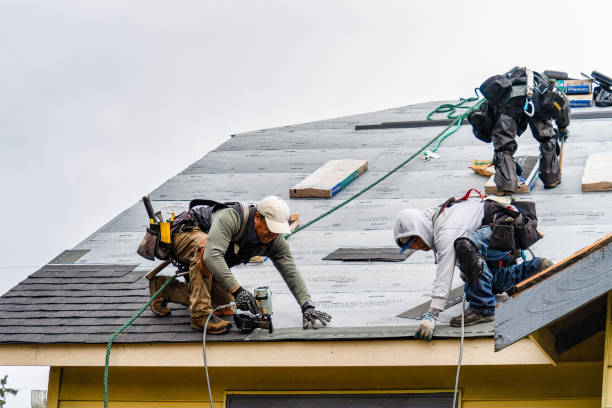 Professional Gutter Installation technician working in Mountain View, HI