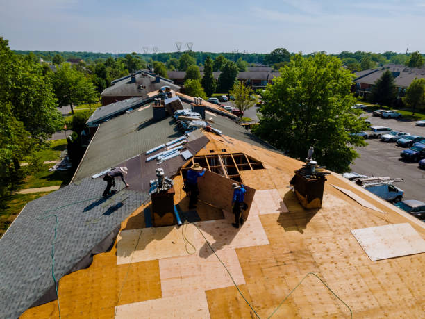 Trusted Flat Roof Repair service in Mountain View, HI - Brentwood Metal Roofing